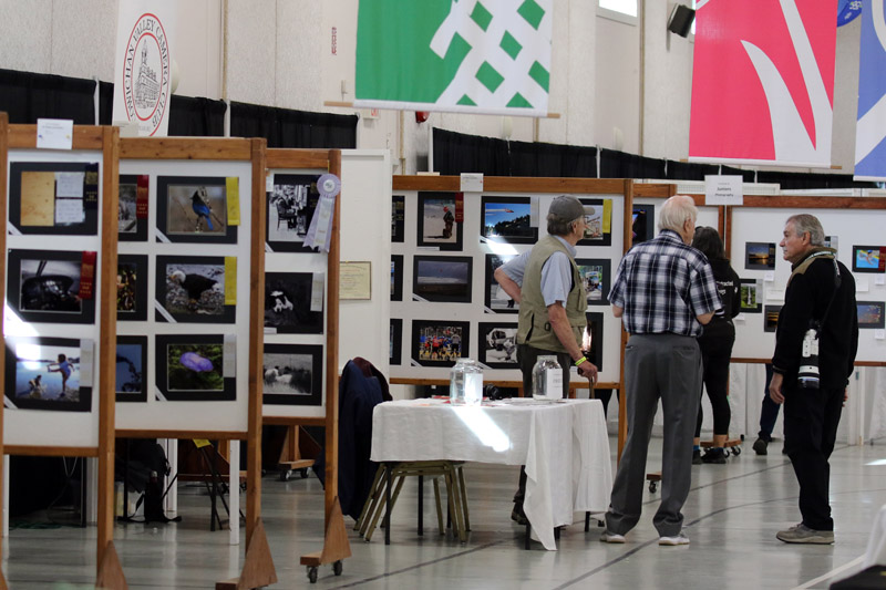 Willie HarvieCowichan Exhibition Sept. 12 - 15Photo Exhibits 