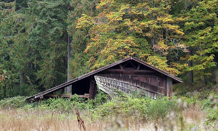 Willie HarvieOctober 2024Abandoned Shed