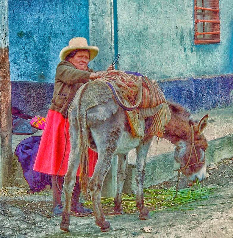 Ed TajeEvening FavouritesPeople/Travel from Other CulturesOctober 2024Securing the Load