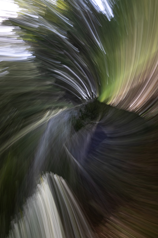 Lynn HarnishOctober 2024Swirling
