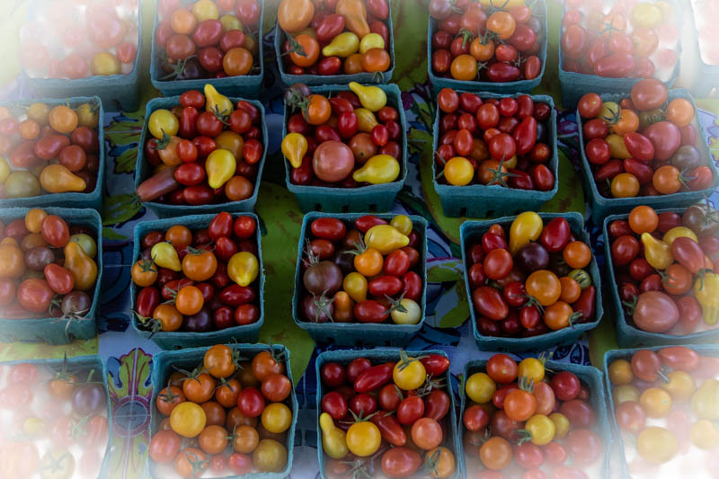 Carl ErlandOctober 2024Small Tomato Display