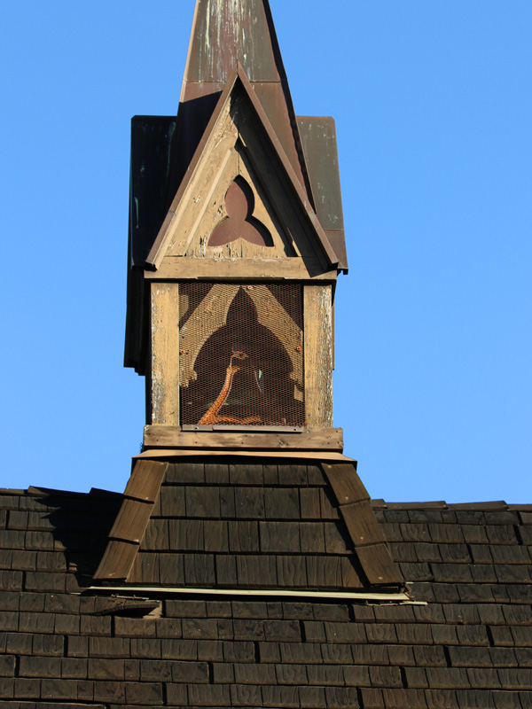 Willie HarvieChurches & Graveyards - Oct. 1 - 16, 2024Ghost in the Steeple