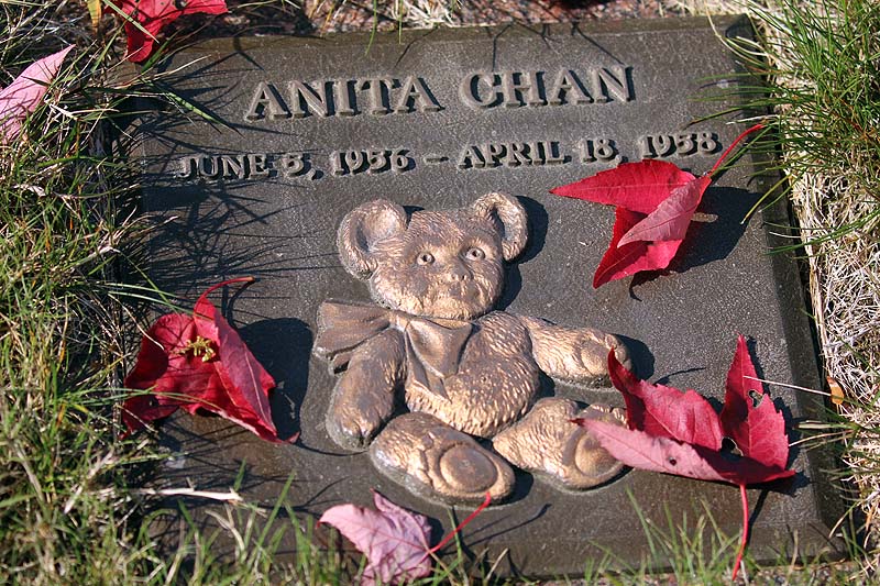 Willie HarvieChurches & Graveyards - Oct. 1 - 16, 2024Anita and her Bear