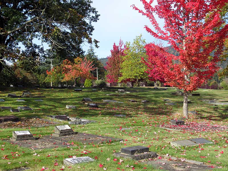 Willie HarvieChurches & Graveyards - Oct. 1 - 16, 2024Mountain View Cemetery
