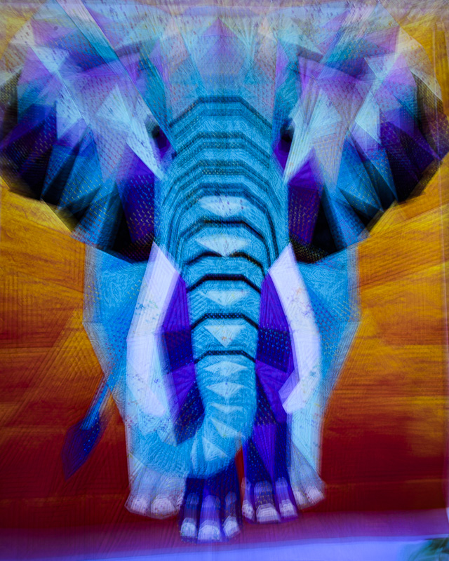 Randy BlakeCowichan Exhibition 12-15 Sep 2024Elephant