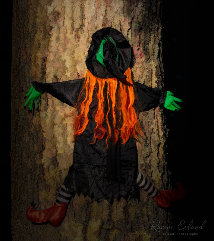 Racine ErlandHalloween-Fall  Oct 17-31, 2024Gotta stop using the cell phone when flying!