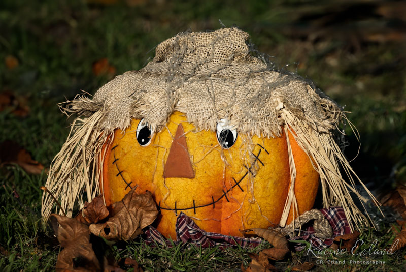 Racine ErlandHalloween-Fall  Oct 17-31, 2024A GREAT PUMPKIN !!!