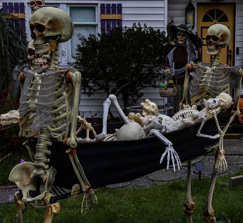 Lynn HarnishHalloween-Fall Oct. 17-31, 2024Bring Out Your Dead