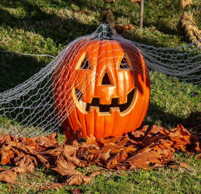 Carl ErlandHalloween-Fall  Oct 17-31, 2024Dang Spiders