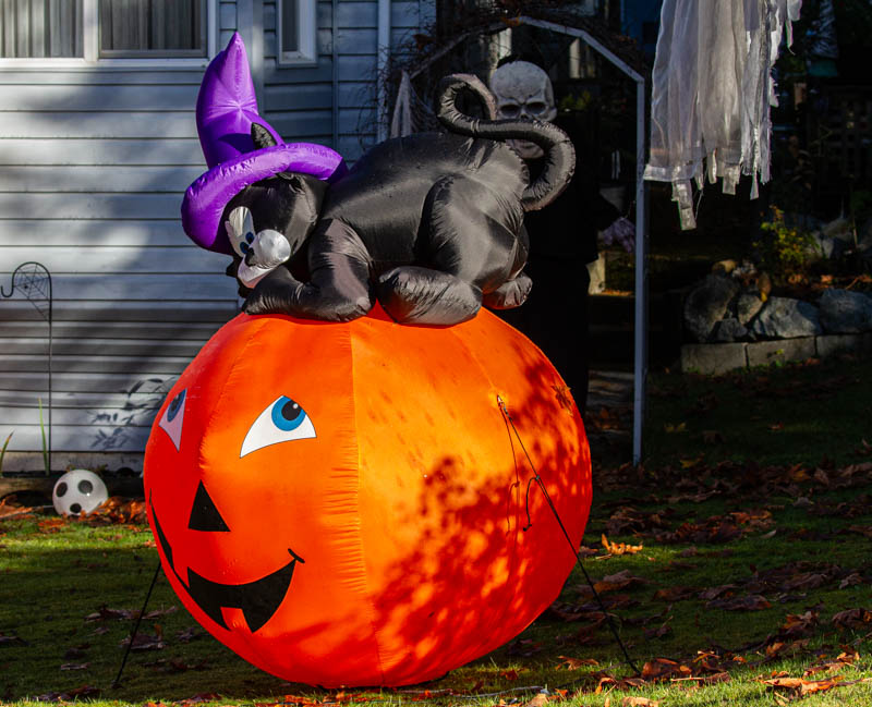 Carl ErlandHalloween-Fall  Oct 17-31, 2024I See You