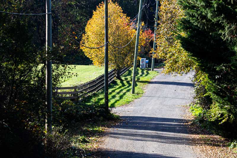 Carl ErlandOctober 2024Fall Lane