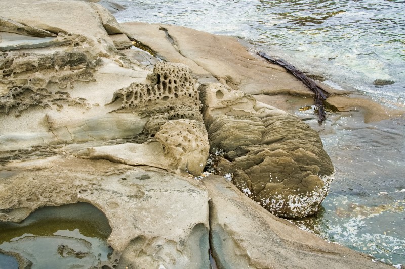 Marilyn JeffriesSeptember 2024 Sandstone Sculpted By The Sea