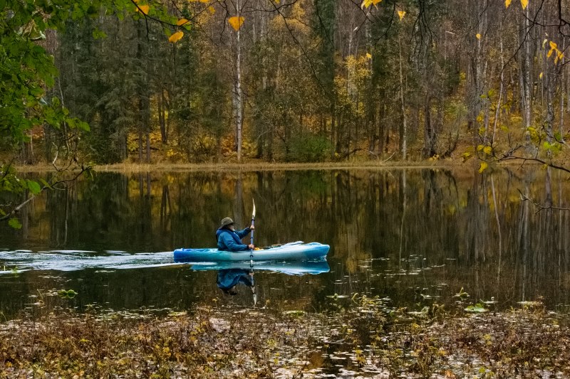 Marilyn JeffriesOctober 2024Quiet Solitude In An Alaskan Marsh