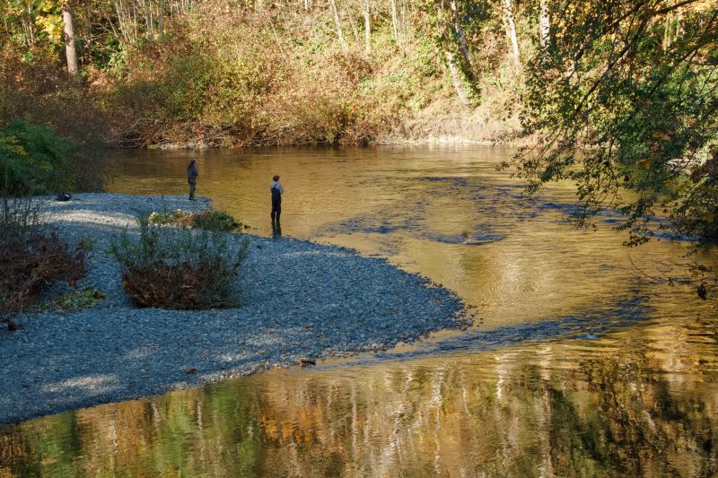 Marilyn JeffriesOctober 2024Fishing In The Golden Hour