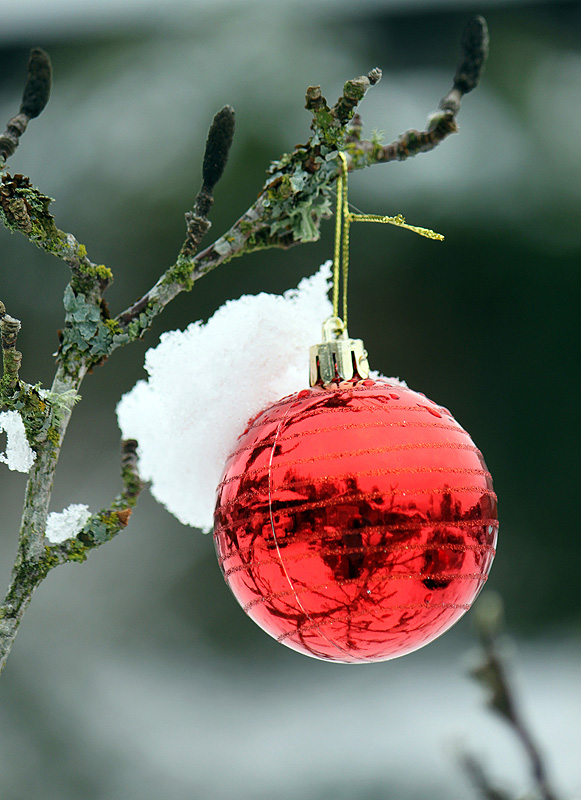 Willie Harvie2024 DecemberLondon Drugs Canvas PrintTheme: Magic of the SeasonCheer on a Winter's Day