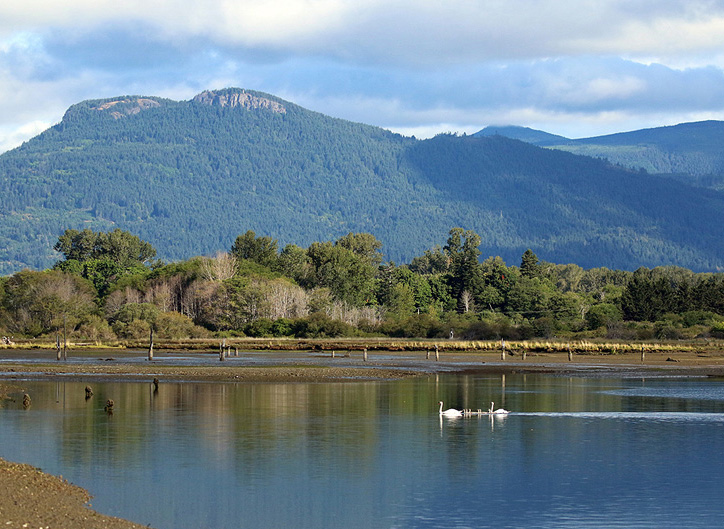 Willie HarvieEvening FavouritesDecember 2024Canada, My CountryWhere Mountains Meet the Ocean