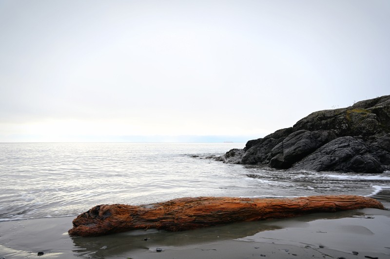 Pam DobbsEvening FavouritesDecember 2024Canada, My CountryWest Coast Beach