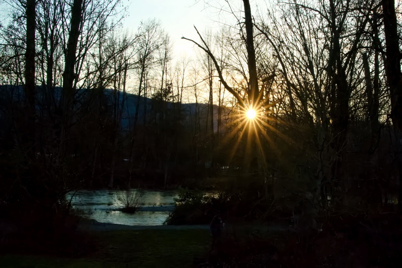Marilyn JeffriesDecember 2024Riverside Setting Sun