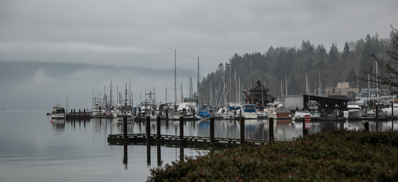 Carl ErlandCowichan Bay/Hecate Park - January 1-17, 2025Foggy Day ay the Bay