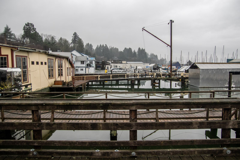 Carl ErlandCowichan Bay/Hecate Park - January 1-17, 2025Looking Down the Bay