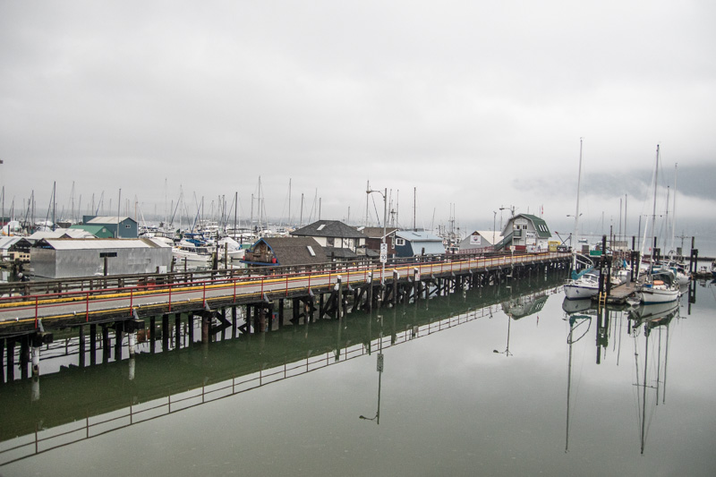 Carl ErlandCowichan Bay/Hecate Park - January 1-17, 2025Government Dock Walk
