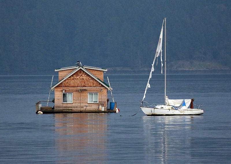 Willie HarvieCowichan Bay/Hecate Park Jan.1 - 17, 2025Shredded sails