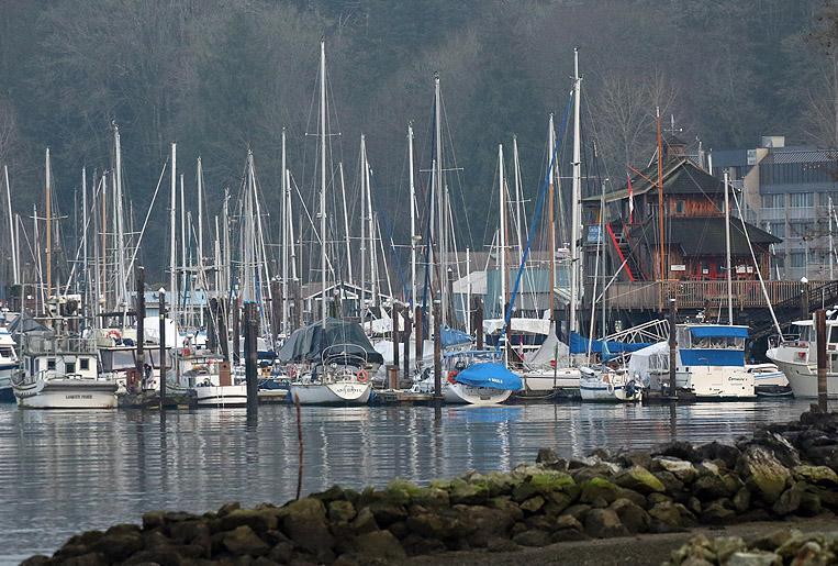 Willie HarvieCowichan Bay/Hecate Park Jan. 1 - 17, 2025Forest of masts
