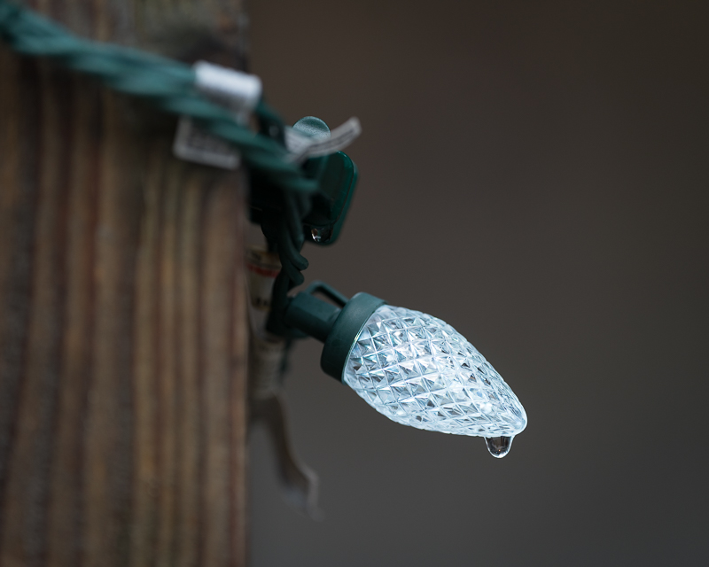 Valerie PayneCowichan Bay/Hecate Park Jan. 1 - 17, 2025Drip Drop
