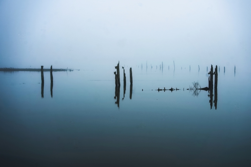 Marilyn JeffriesEvening Favourites - MinimalistJanuary 2025The Calm in an Estuary Fog - 1st Place