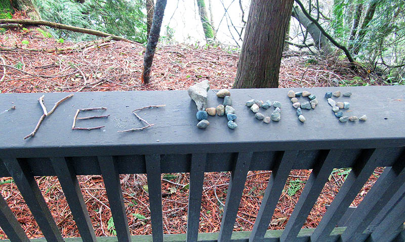 Willie HarvieDecember 2024Signs of Hope