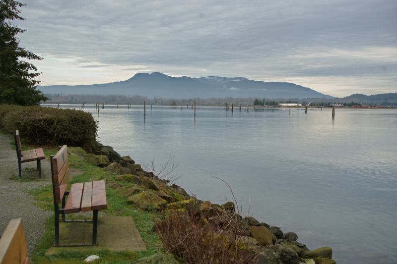 Marilyn JeffriesCowichan Bay/Hecate Park Jan. 1 - 17, 2025A Place to Rest and Reflect