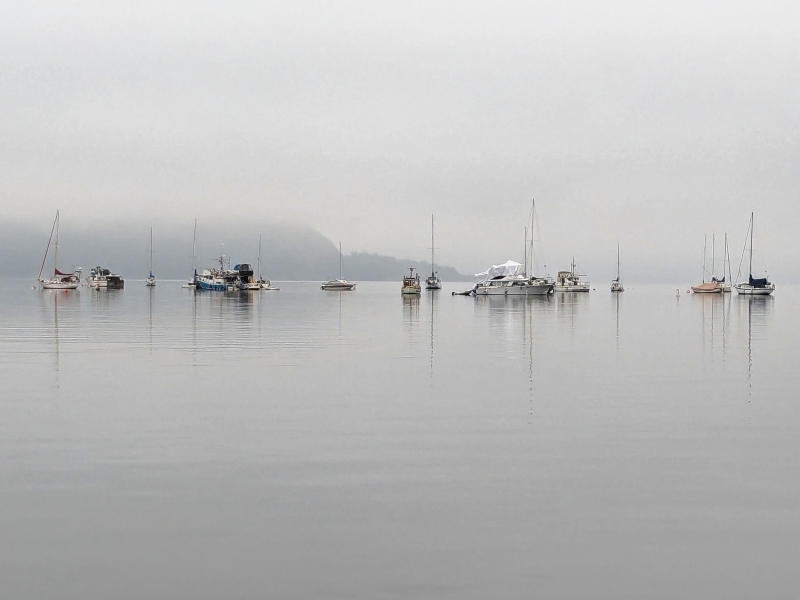 Marilyn JeffriesCowichan Bay/Hecate Park Jan. 1 - 17, 2025All is Calm Here