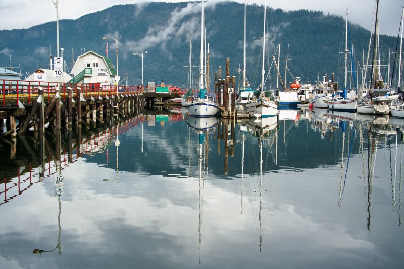 Marilyn JeffriesCowichan Bay/Hecate Park Jan. 1 - 17, 2025So Much Reflection