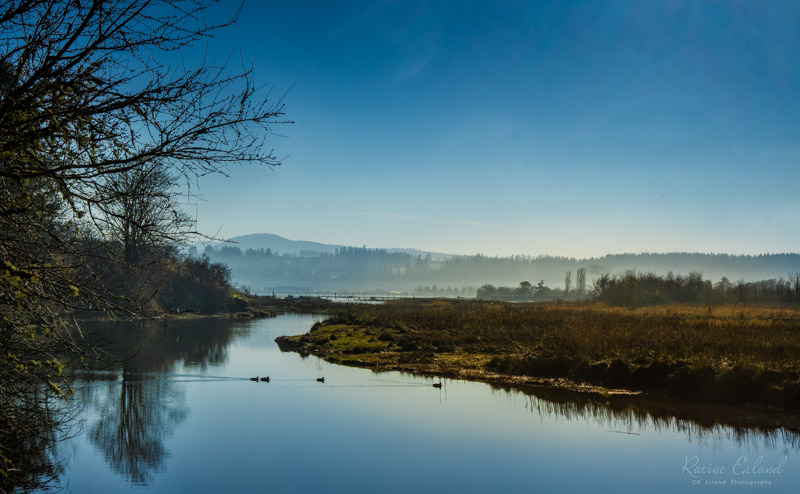 Racine ErlandCowichan Bay/Hecate Park Jan. 1 - 17, 2025Cowihan Bay from Knipson Road