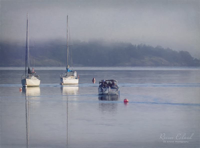 Racine ErlandCowichan Bay/Hecate Park Jan. 1 - 17, 2025The Fog was Lifting