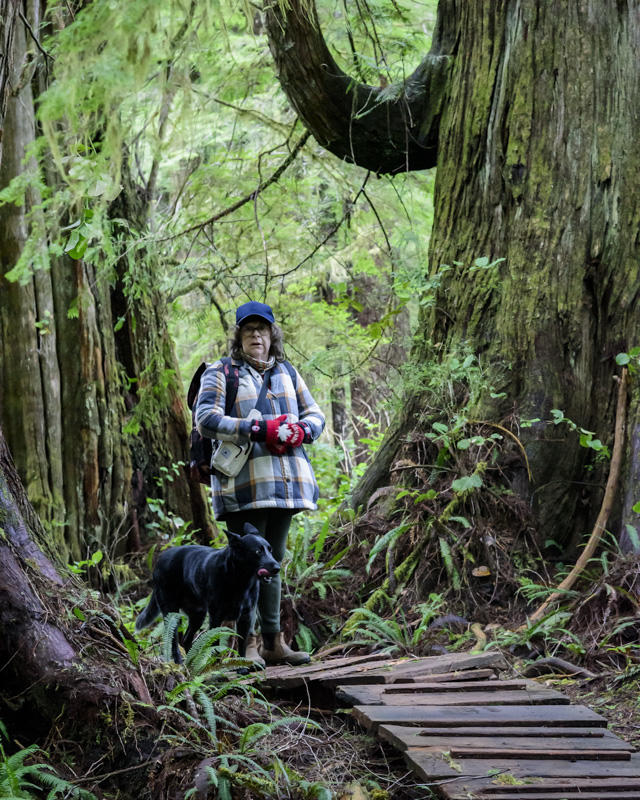 Randy BlakeJanuary 2025Big Tree Trail Meares Island