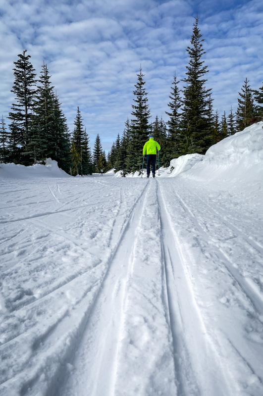 Valerie PayneEvening Favourites - Leading LinesFebruary 2025Slip Sliding Away1st Place