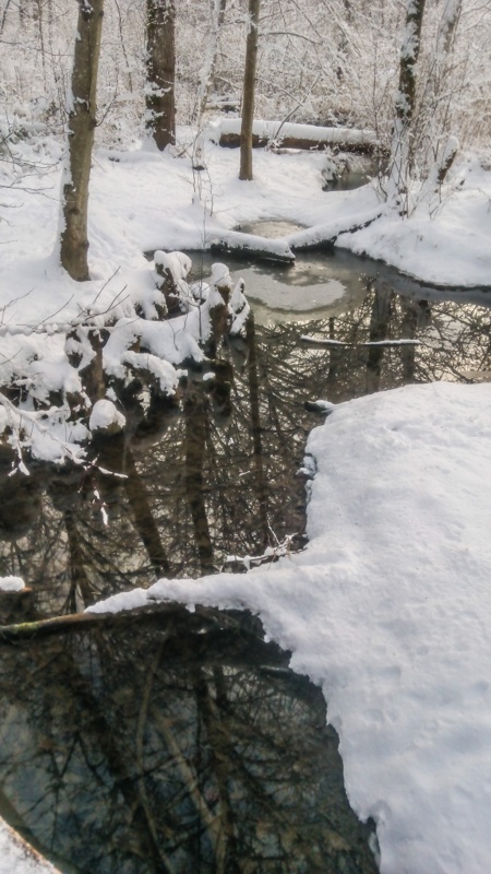Leo MosleyFrozen Things - February 1-14, 2025Reflections