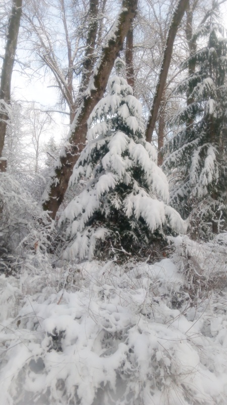 Leo MosleyFrozen Things - February 1-14, 2025Weighed Down