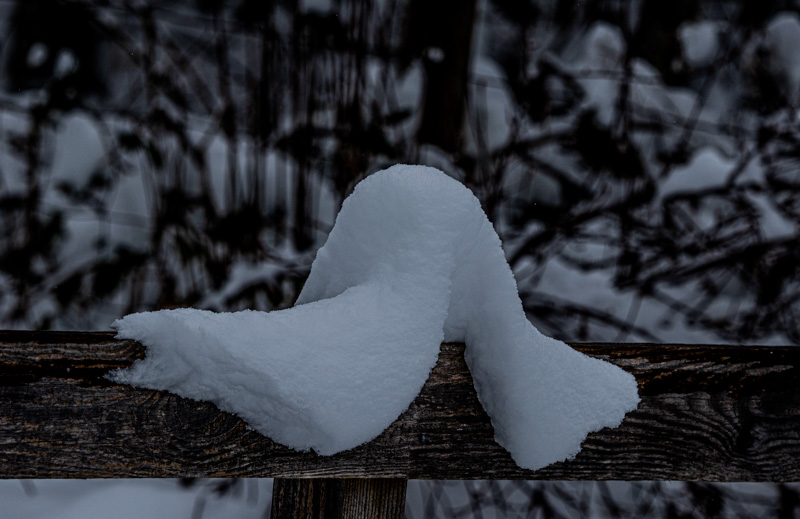 Carl ErlandFebruary 2025Resting Snow Angel