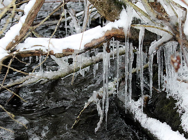 Willie HarvieFrozen things IceField trip Feb. 1 - 14, 2025Icicle Spikes