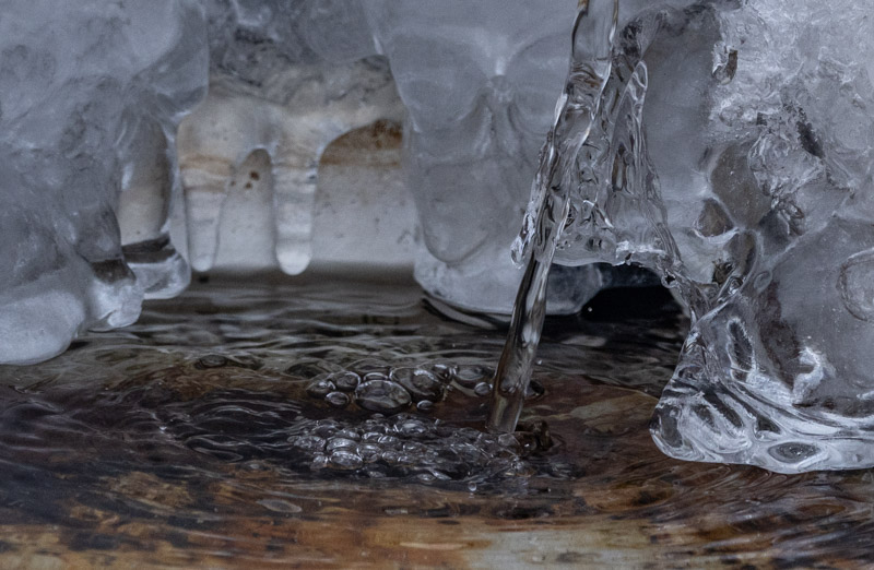 Carl ErlandFrozen things IceField Trip Feb. 1 - 14, 2025Bubbling Brisk Bird Bath