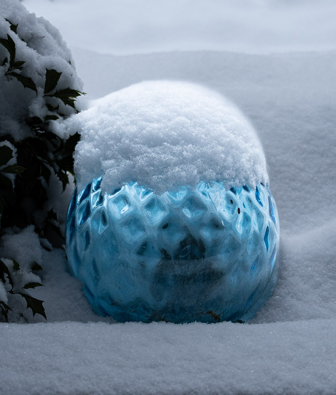 Lynn HarnishFrozen Things - IceField Trip Feb 1-14, 2025Blue Face Cold
