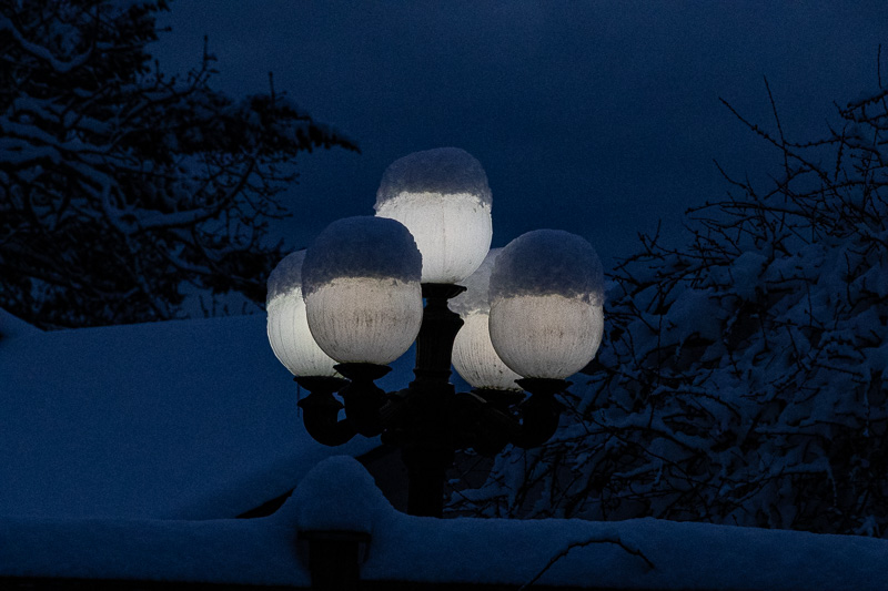 Lynn HarnishFrozen Things - IceField Trip Feb 1-14 2025Leave the Porch Light On