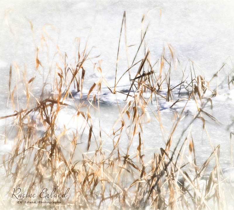 * Field Trips: Racine Erland Multiple Galleries