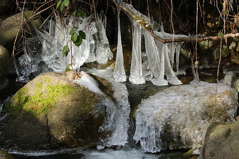 Willie HarvieFrozen Things - IceField Trip - Feb. 1 - 14, 2025Bing's Creek