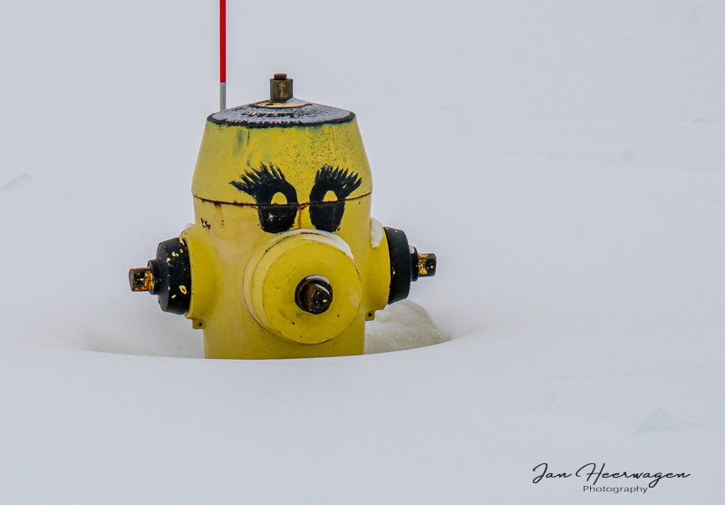 Jan HeerwagenFrozen Things - February 1-14, 2025Painted Hydrant