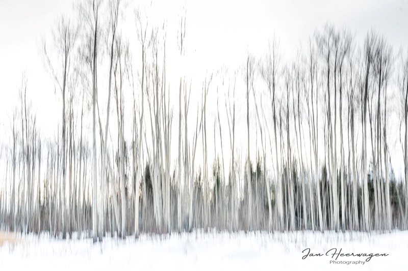 Jan HeerwagenFrozen Things - February 1-14, 2025A Cold Winter Afternoon