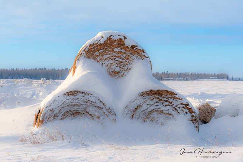 Jan HeerwagenFebruary 2025Forgotten Bales