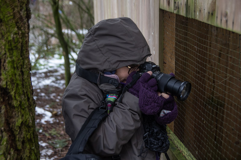 Carl ErlandWildlife, Creatures, Critters and PetsFebruary 15, 2025 Pose of the Photographer